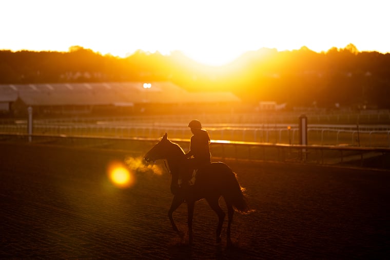 A horse works out at Laurel Park during sunrise on May 8.