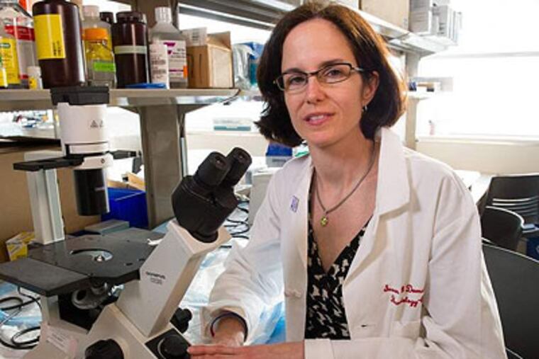 Susan Domchek, an associate professor of hematology/oncology at Penn's Perelman School of Medicine, said the new center's priorities will include research into the biology of the genes, development of vaccination strategies, and discovery of better detection methods.