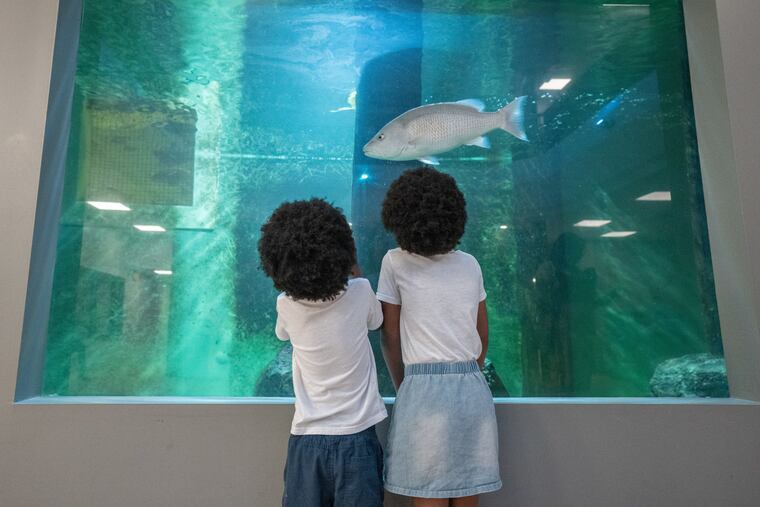 (Left to Right) Matthew and Jayah Watts at the Atlantic City Aquarium, in Atlantic City, NJ, June 3, 2025.