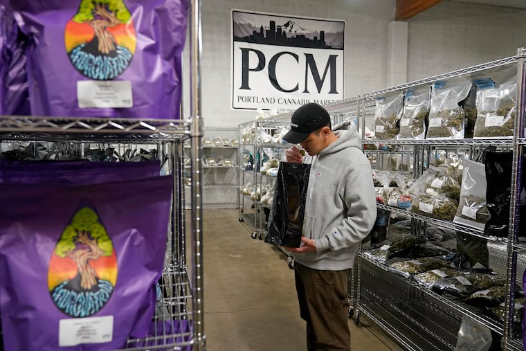 A customer peruses bags of marijuana at the Portland Cannabis Market in Portland, Ore. Legalizing pot in Pennsylvania may bring in a lot of tax revenue, but it is an unwise thing to do, writes Stephen F. Gambescia.