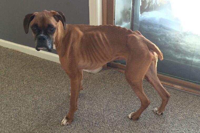 Tyson in early 2016, at about the time that he was sickest.