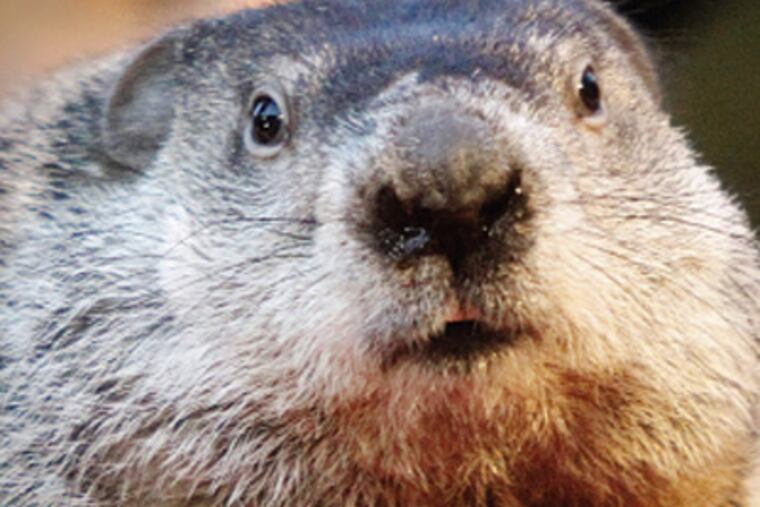 (Keith Srakocic / Associated Press)