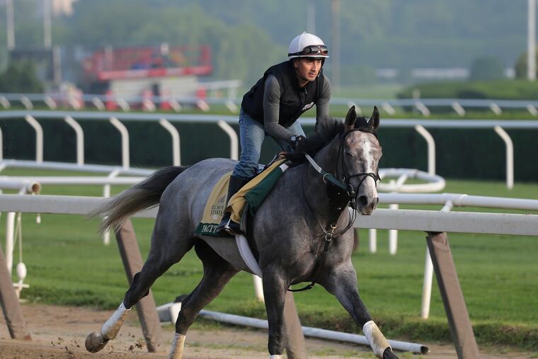 Exercise rider Joe Ramos rides Tacitus during a workout at Belmont Park in Elmont, N.Y., Thursday, June 6, 2019. The 151st Belmont Stakes horse race will be run on Saturday, June 8, 2019.