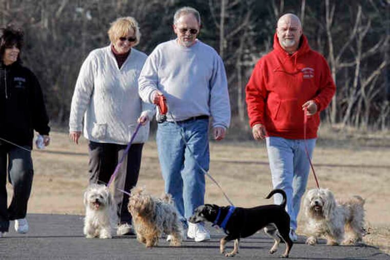 A 2018 photo of people walking dogs in Timber Creek Park in Gloucester Township. On Sunday, a woman and two dogs were rescued after falling through ice into the frigid water of Timber Creek.