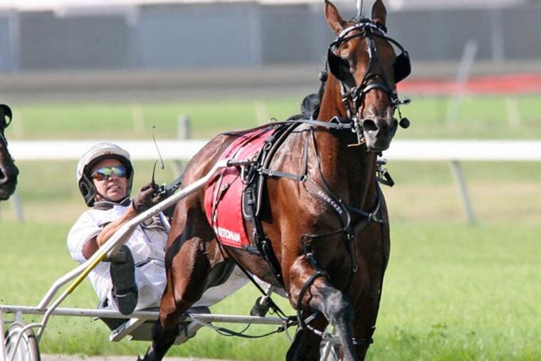This photo released by the US Trotting Association shows driver Brian
Sears bringing Royalty For Life up the stretch to win the $1.2 million
Hambletonian horse race for 3-year-old trotters at the Meadowlands
Racetrack in East Rutherford, New Jersey, Aug. 3, 2013. (AP Photo/US
Trotting Association, Mark Hall)