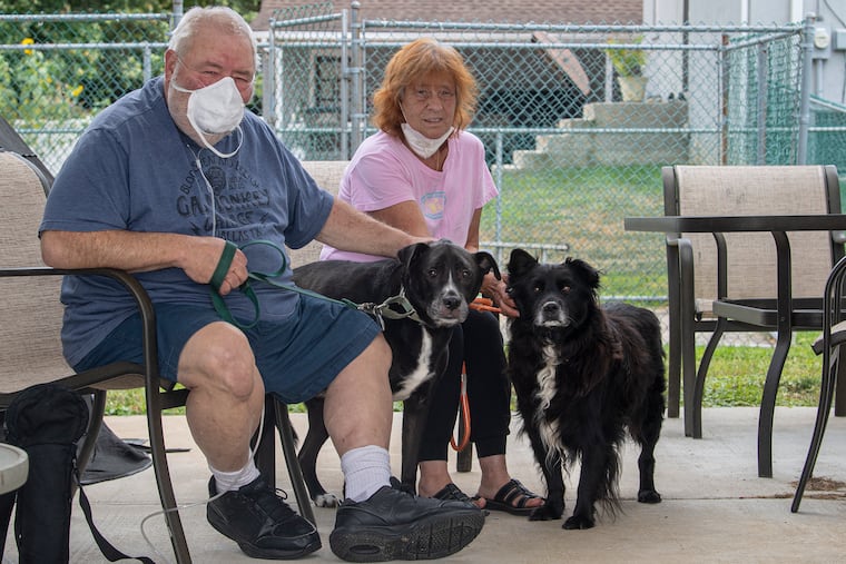 Sandy and Tony Lange are photographed with their dogs Flip and Popcorn at their home in Feasterville. They adopted the older dogs from the Grey Nose Society, a Philadelphia animal program that matches senior dogs with senior citizens.