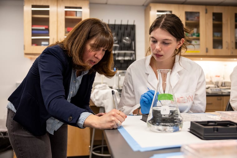 Haverford College professor Laura Been helps Sophia Lipari, 21, of Jacksonville, Fla., a chemistry and neuroscience major, during a "neurohistology" lab class. Students were studying rat brains.