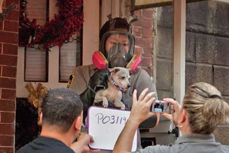 Pennsylvania SPCA animal control officers remove a dog from a home in South Philadelphia on Wednesday. (David M Warren / Staff Photographer)