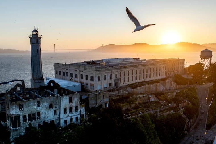 A bird flies above Alcatraz Island on Sunday, May 4, 2025, in San Francisco, Calif.