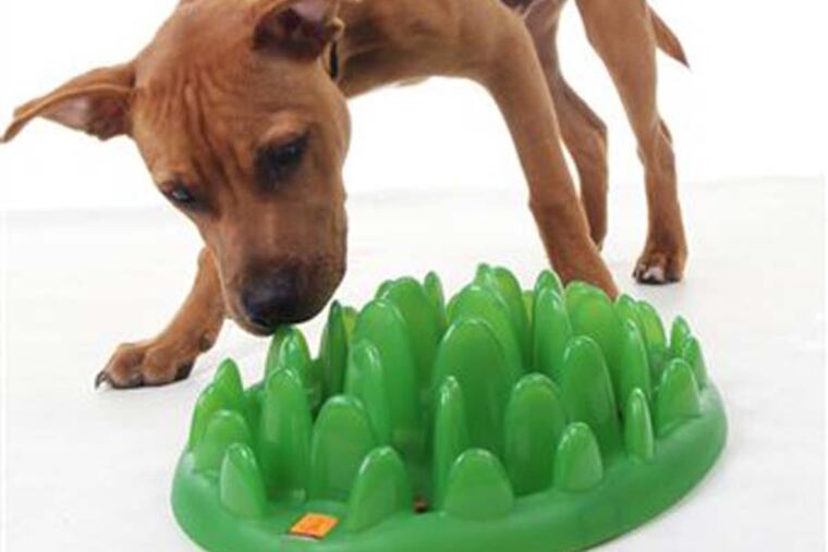 This product publicity photo provided by The Company of Animals, LLC shows a GREEN interactive feeder. Treat mazes for dogs and cats make it a challenge to extricate the treats, engaging the animalís mind and making the reward more satisfying(www.companyofanimals.co.uk). (AP Photo/ The Company of Animals, LLC)
