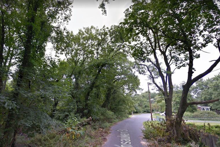 The wooded area in Cinnaminson, New Jersey where a woman's body was found.