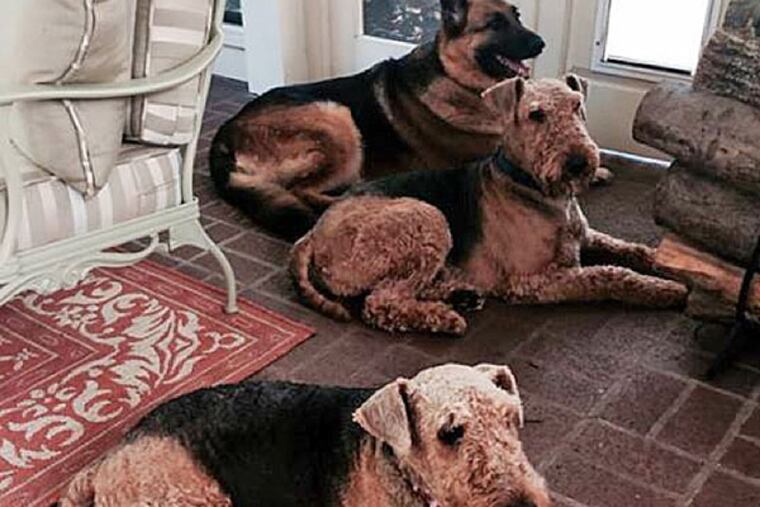 Harry, Penny and Britta. (Photo from Tom Corbett's Facebook page)