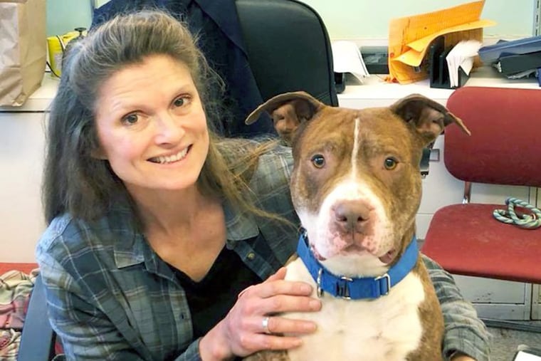 Former Chicago Animal Care and Control Executive Director Susan Russell with a shelter dog