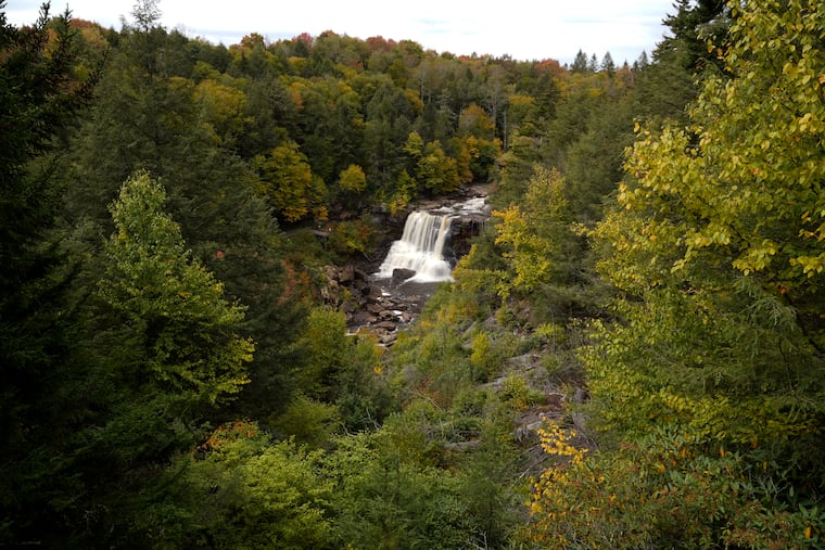 Blackwater Falls State Park in Davis, W.Va., a town where a data center with an off-grid gas plant is taking shape.