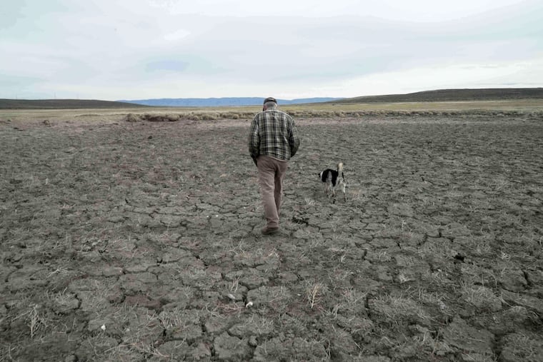 FILE - Philip Anderson walks across a dry stock pond March 31, 2026, in Walden, Colo. (AP Photo/Brittany Peterson, File)