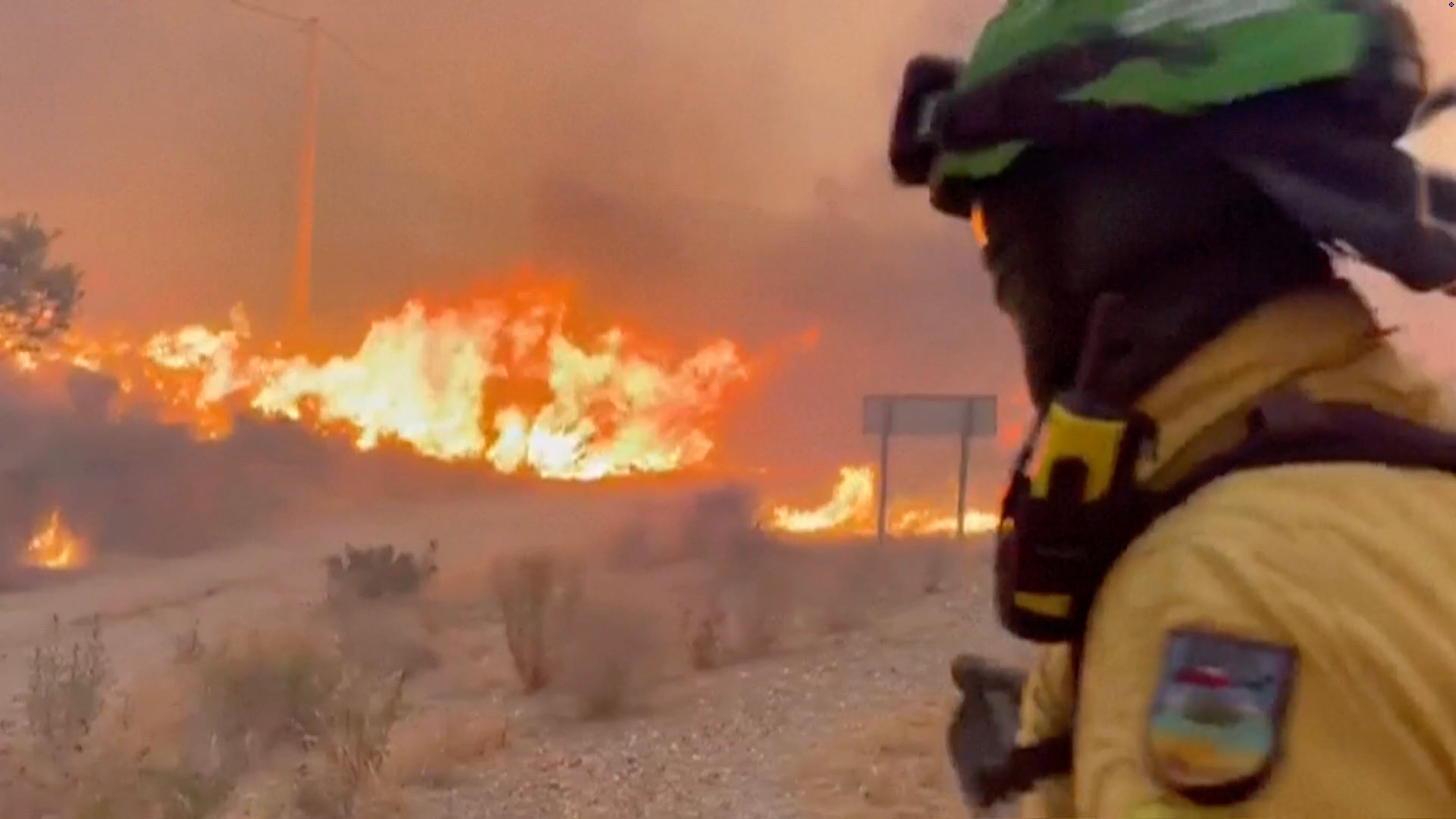 Wildfires across Europe have killed hundreds over the last decade