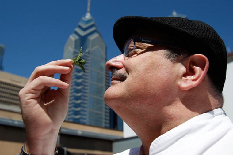 Chef Jim Coleman sniffs a sprig of mint from the rooftop garden at the
Sofitel in Philadelphia.