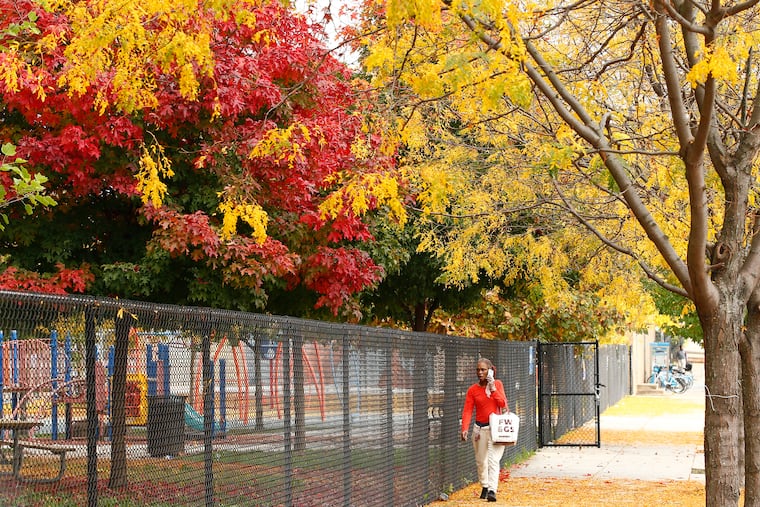 Last week, southeastern counties' foliage was not experiencing a notable transition. This has changed, according to the DCNR's latest report.