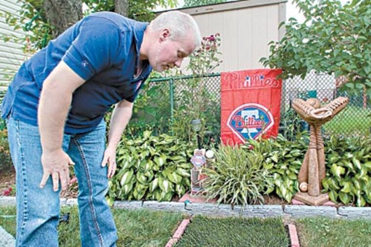 Citizens Bank Park sod, sold to fans, is admired by Charlie Heald in his Mount Ephraim yard. (David M Warren / Staff Photographer)