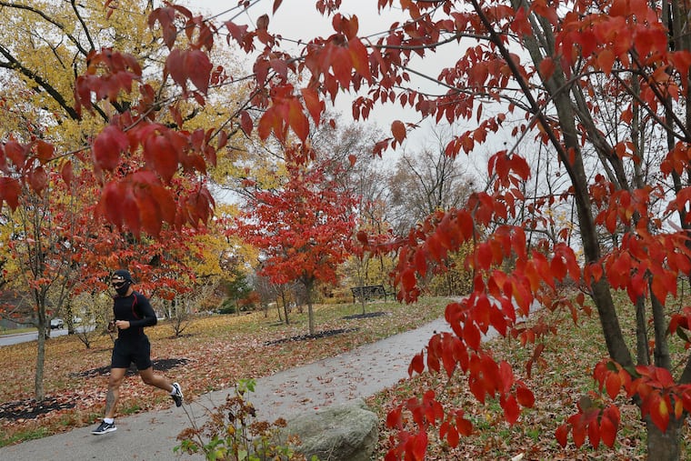 A jogger passes by leaves changing color in Philadelphia's West Fairmount Park on Thursday, Nov. 12, 2020.