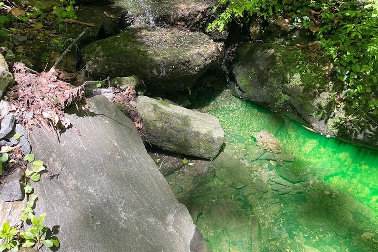 The Philadelphia Water Department said a green fluorescent dye seen in the water of Wissahickon Creek this week is harmless and the result of crews using the dye to investigate a leak on the 200 block of Rex Avenue.