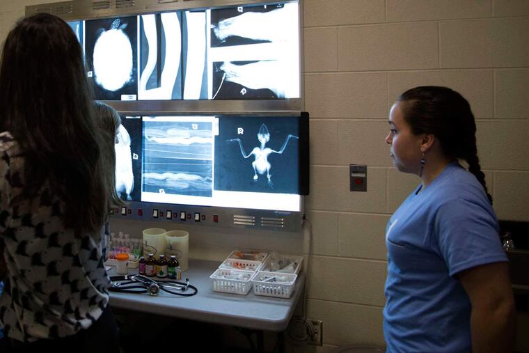 Attendees of the Zoobiquity 6 conference walk past animal X-rays. The daylong event included tours of the Philadelphia Zoo and Penn Vets' New Bolton Center.