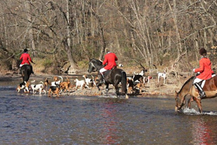 Riders and hounds cross the Neshaminy in Dark Hollow Park. Fox Heath, the operator, gets county and state permits. (Lynne Nottingham)
