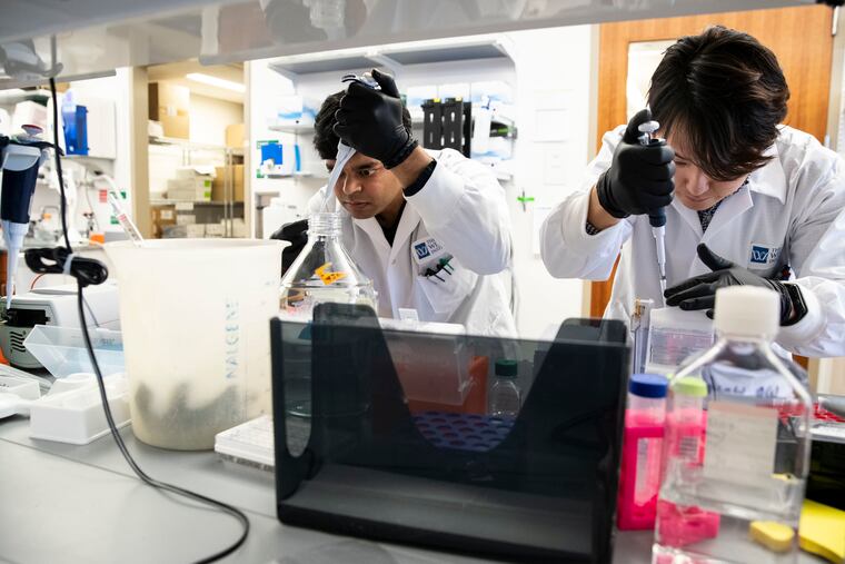 At the Wistar Instistute in January, project manager Faraz Zaidi, left, and Penn graduate student Daniel Park analyzed a coronavirus vaccine that is now being tested on humans