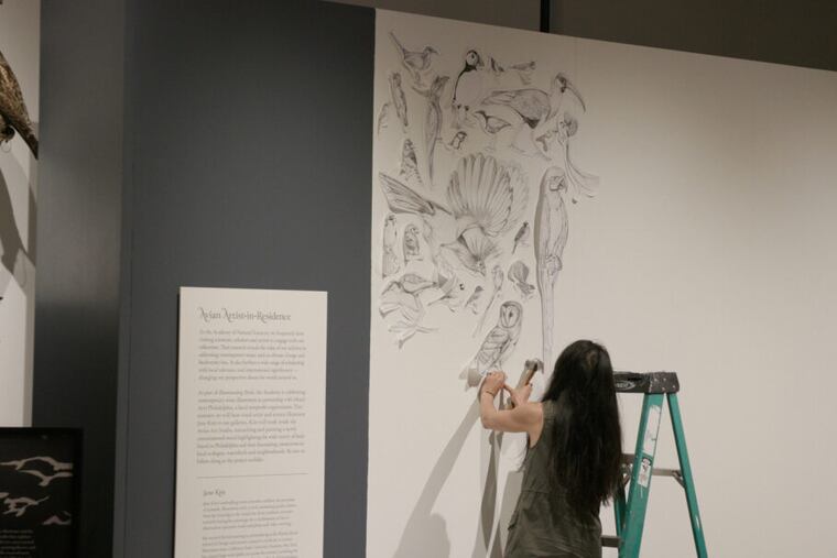 Artist and science illustrator Jane Kim works on a draft of her new mural on Philadelphia birdlife. The installment is part of a partnership between Drexel's Academy of Natural Sciences and Mural Arts of Philadelphia.