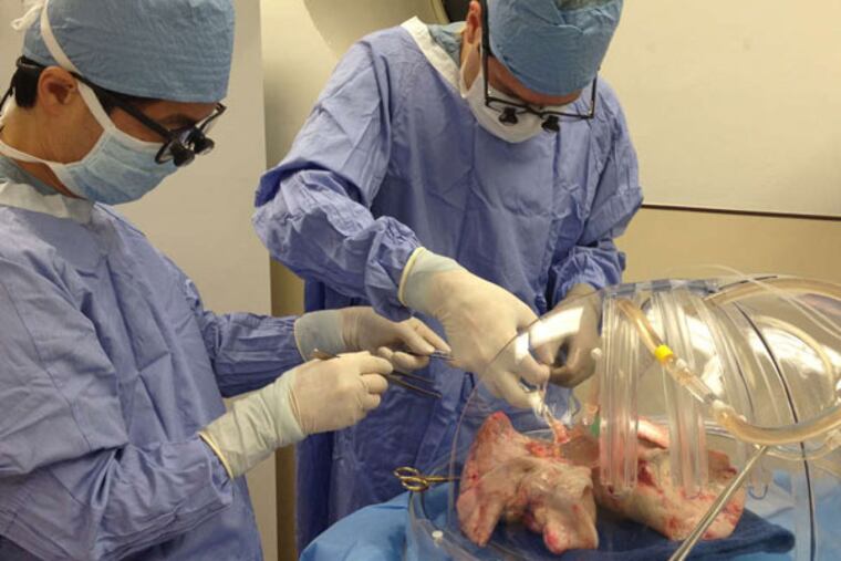 Edward Cantu (right), a Penn transplant surgeon, and Yoshikazu Suzuki, a procurement surgeon, with lungs being reconditioned by the XVIVO system.