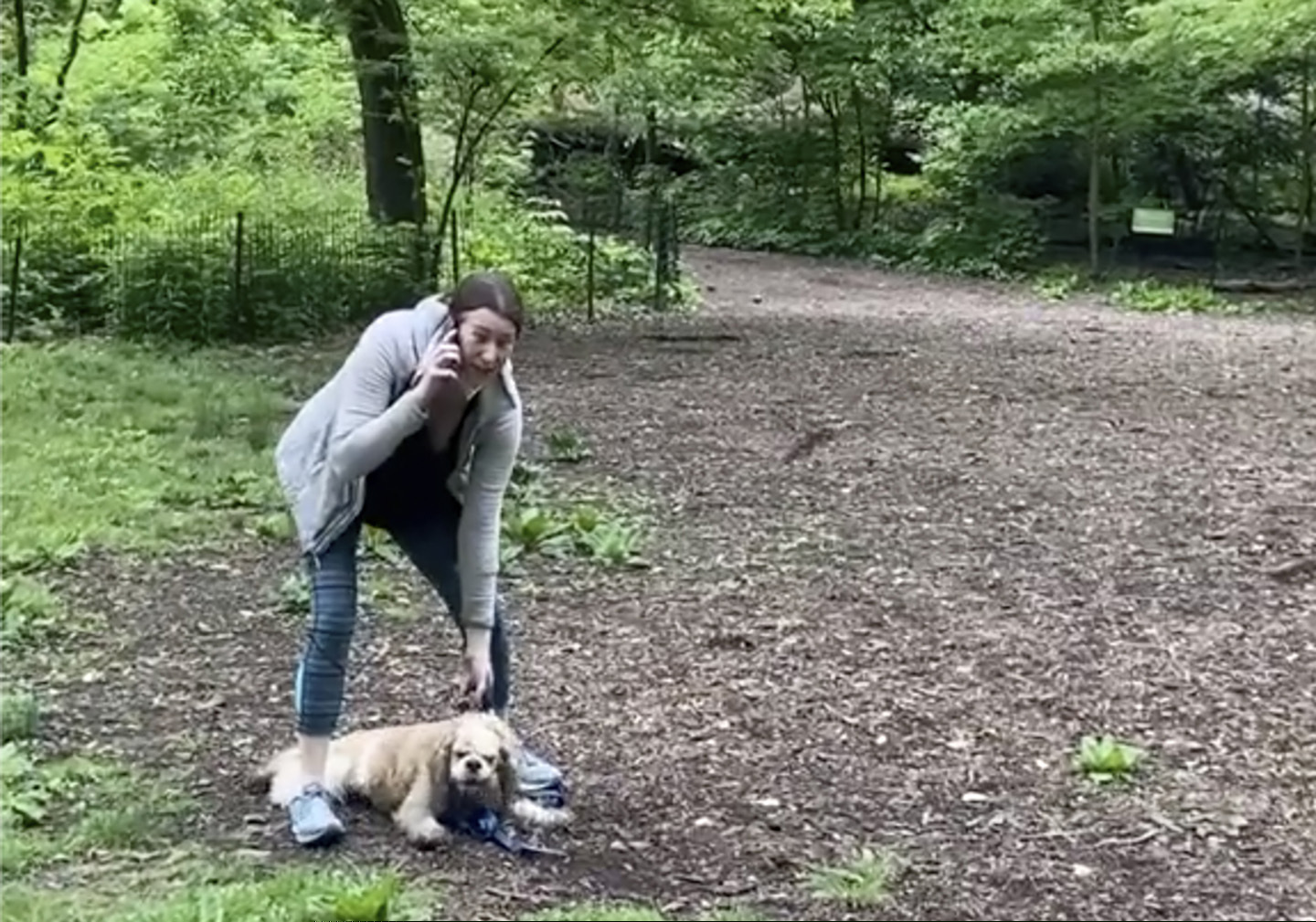 This May 25, 2020 image, taken from video provided by Christian Cooper, shows Amy Cooper with her dog calling police in Central Park in New York.