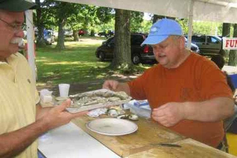The Rev. Bill Gaydos shucks oysters at the picnic at Old Goshenhoppen Reformed Church.