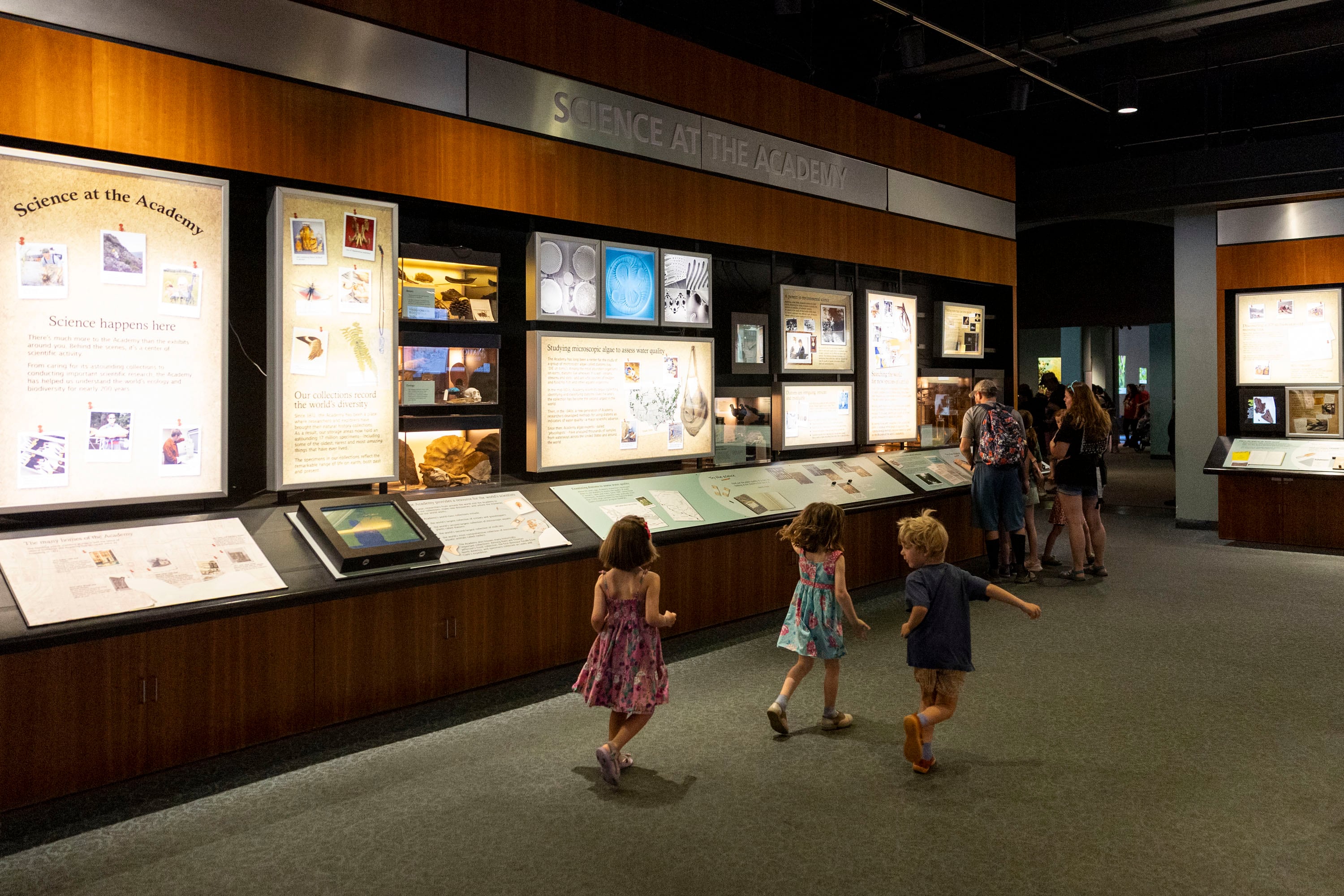 10 affordable options for Philly families beyond the Academy of Natural Sciences