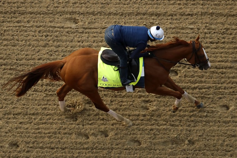 Good Magic is the morning-line favorite in the Haskell.