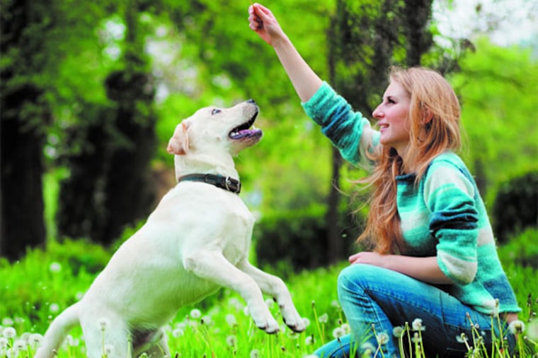 Among the best things you can do for your companions in 2014 is keep them active. It’s good for you, too.