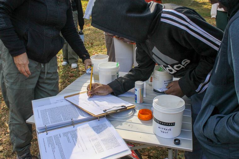 A Science Sleuths student from Wissahickon Charter School at Awbury Arboretum in Germantown takes part in a lesson testing water for phosphates, nitrates, dissolved oxygen, and pH levels.