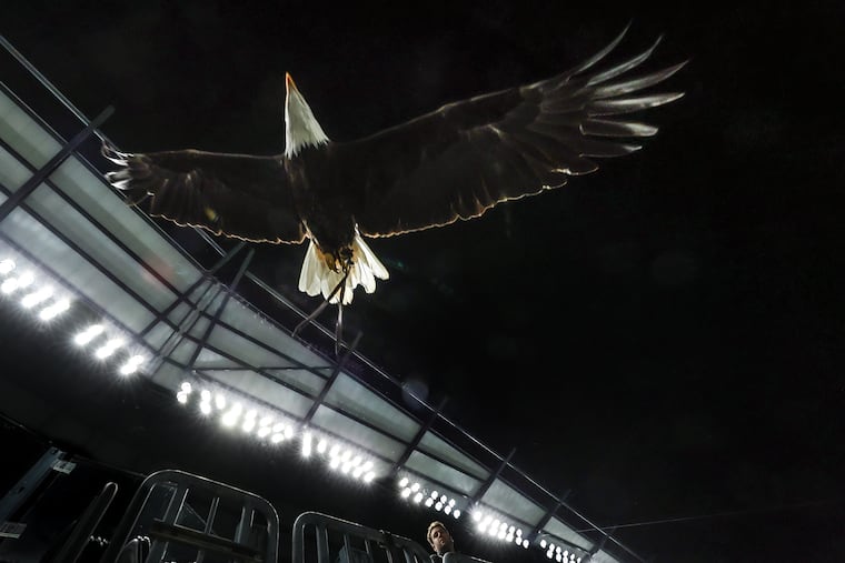Lincoln first flew into Lincoln Financial Field during the 2024 season, taking over for his predecessor, Challenger. 