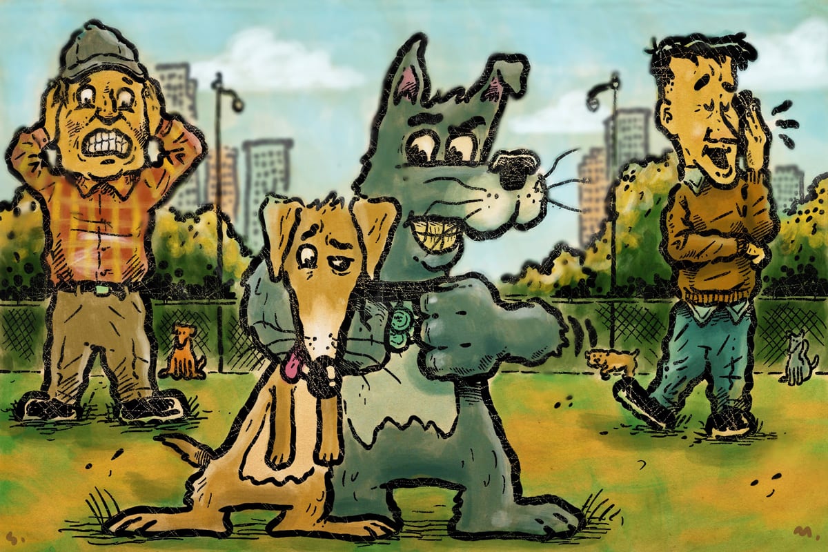 Another dog owner doesn't care that his dog plays too rough with mine