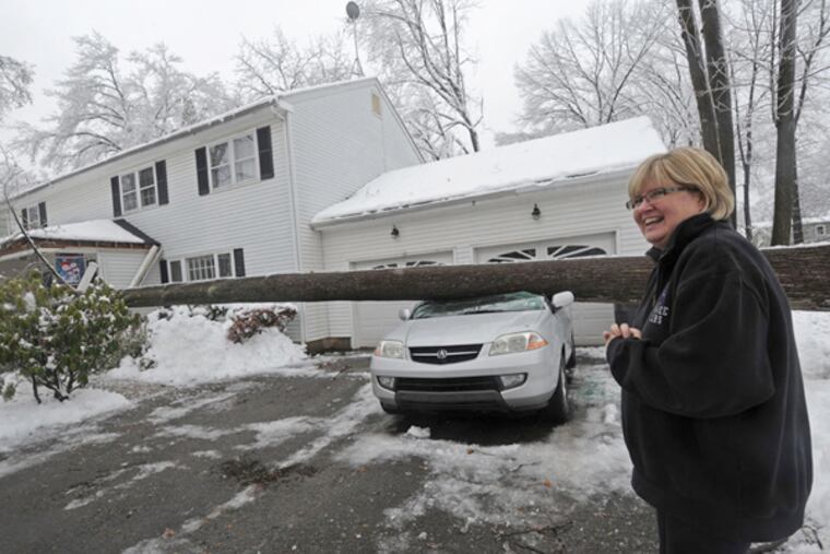 On Byron Drive in Lower Makefield Township, PA, Maureen Ehret feels lucky to be alive. Just as she was heading to her car, the tree in her yard totaled it on Feb. 5, 2014. ( APRIL SAUL / Staff Photographer )