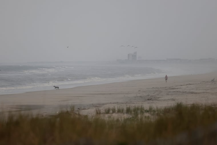 A dog and its human on the beach in Sea Isle City, N.J. on Wednesday, June 28, 2023.