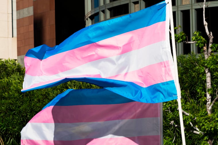 Trans pride flags flutter in the wind at a gathering to celebrate International Transgender Day of Visibility, March 31, 2017, at the Edward R. Roybal Federal Building in Los Angeles.