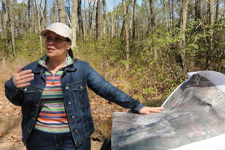 “It’s a good, thriving woods,” Denise Garner, a Jackson environmental commissioner, says of the trees that are slated to be cut for Six Flags’ solar project. (CURT HUDSON/For the Inquirer)