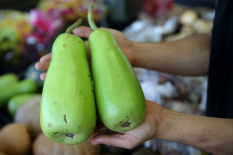 Oriental squash are pictured at Produce Junction in Glenside, Pa., on Thursday, Nov. 1, 2018. The grocery store chain stocks a variety of specialty produce in response to demand from immigrant communities in the region.