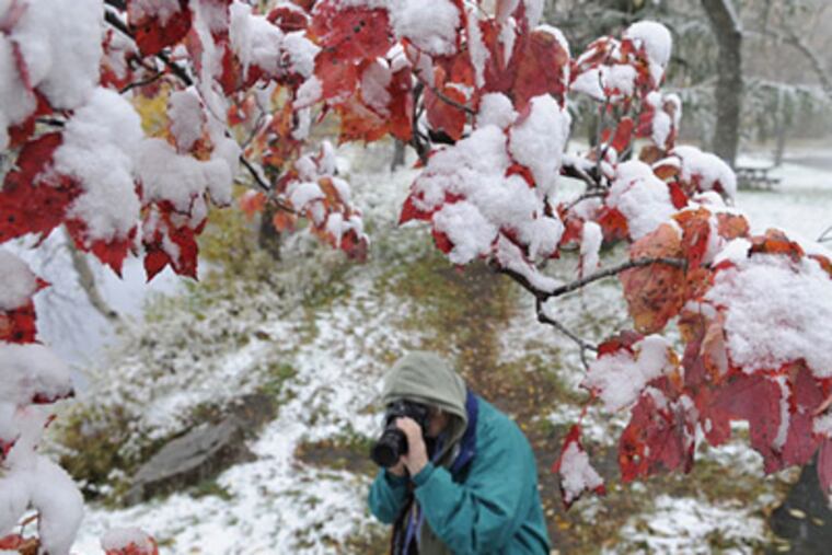 Marion Gill, of Claysville, Pa., takes pictures of snow in Tobyhanna State Park in Monroe County, on Oct. 15, 2009. Parts of the Poconos got five inches of snow. (David Kidwell / Pocono Record)