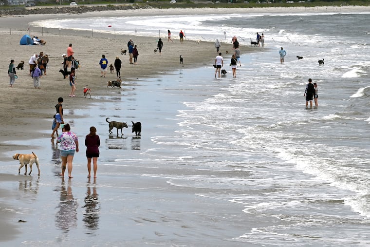 Dogs and their owners enjoy the sand and water at the Malibu Beach Wildlife Management area in Egg Harbor Township at the Shore in the middle of the Memorial Day weekend Sunday, May 28, 2023. The off-leash dog beach is also known as Longport Dog Beach, ,Somers Point Dog Beach, or just Dog Beach) and is located on the Longport side of the Ocean Drive Bridge that goes between Longport and Ocean City.