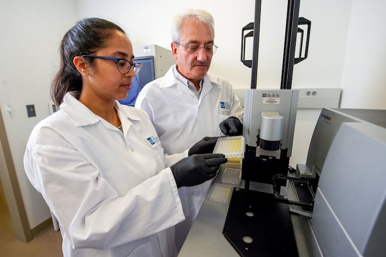 Ami Patel, research assistant professor, and David B. Weiner, director of Wistar Institute's vaccine and immunotherapy center, working on his synthetic DNA vaccine technology, the basis for an experimental coronavirus vaccine.