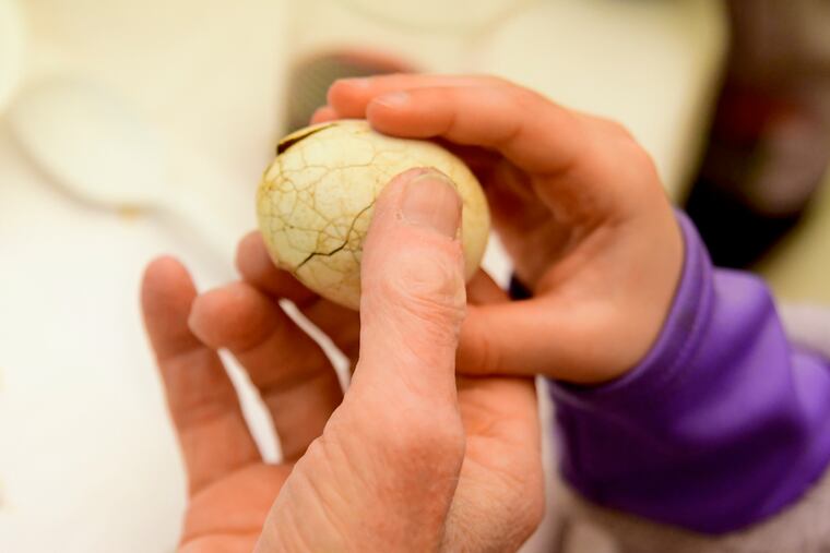 Symbolic item from the Seder plate during Passover dinner last year at the KleinLife Center in Elkins Park. BASTIAAN SLABBERS / For the Inquirer
