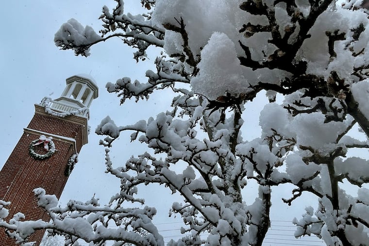 Snow clings to branches in the Market Place at Garden State Park in Cherry Hill Sunday morning Dec. 14, 2025, during the first significant snowfall of the season with 3 to 7 inches of snow blanketing the area.