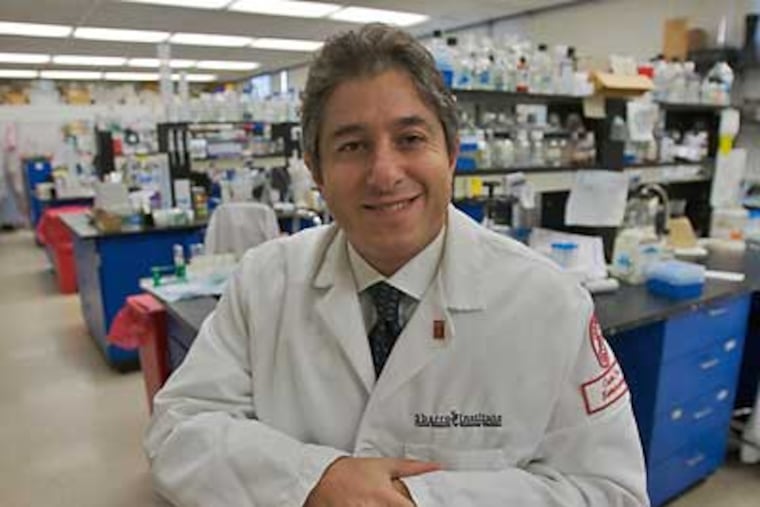 Antonio Giordano, head of Sbarro Health Research Organization at Temple. (John Costello / Staff Photographer)