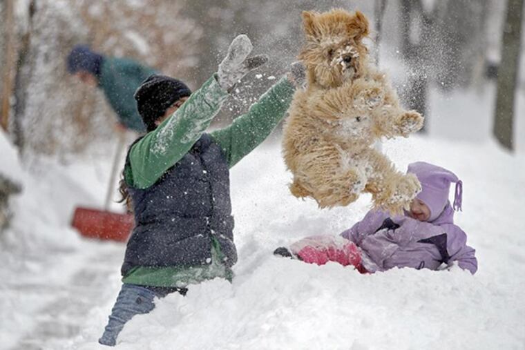 Lindsay Knutson, left, plays in the heavy snow with her family dog, Aspen, and daughter Flora Bejblik, 4, as her husband Bob Bejblik, rear left, shovels.